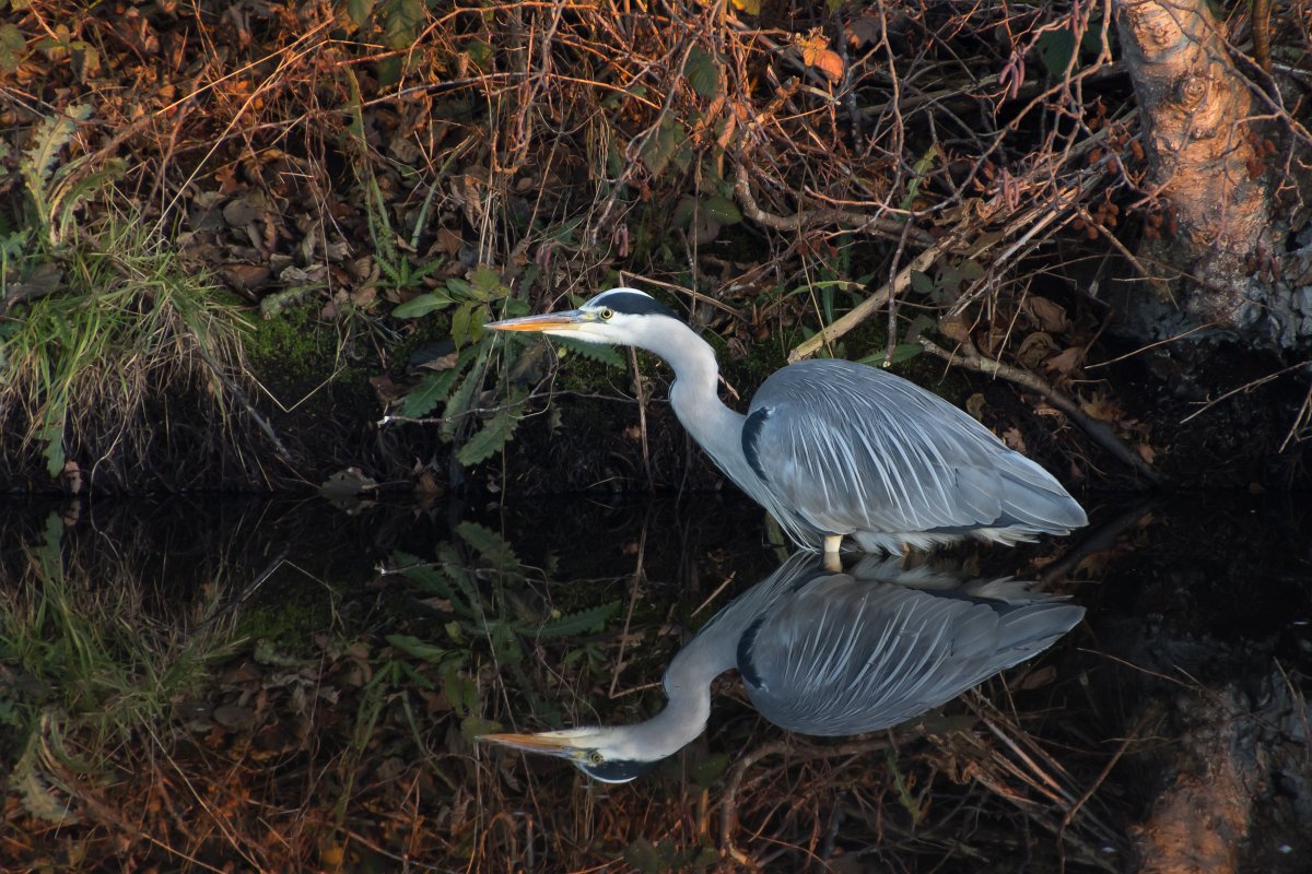 foto: [20211221PV5857]